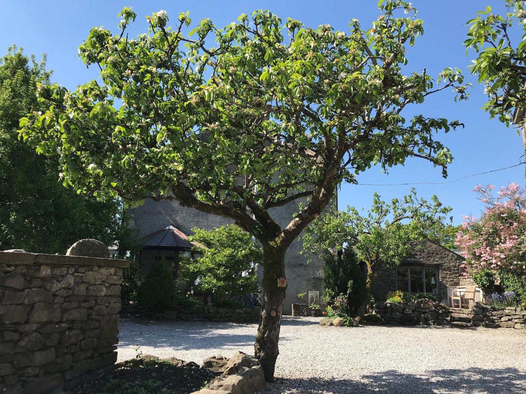 Pear Tree Barn Crooklands Exterior foto